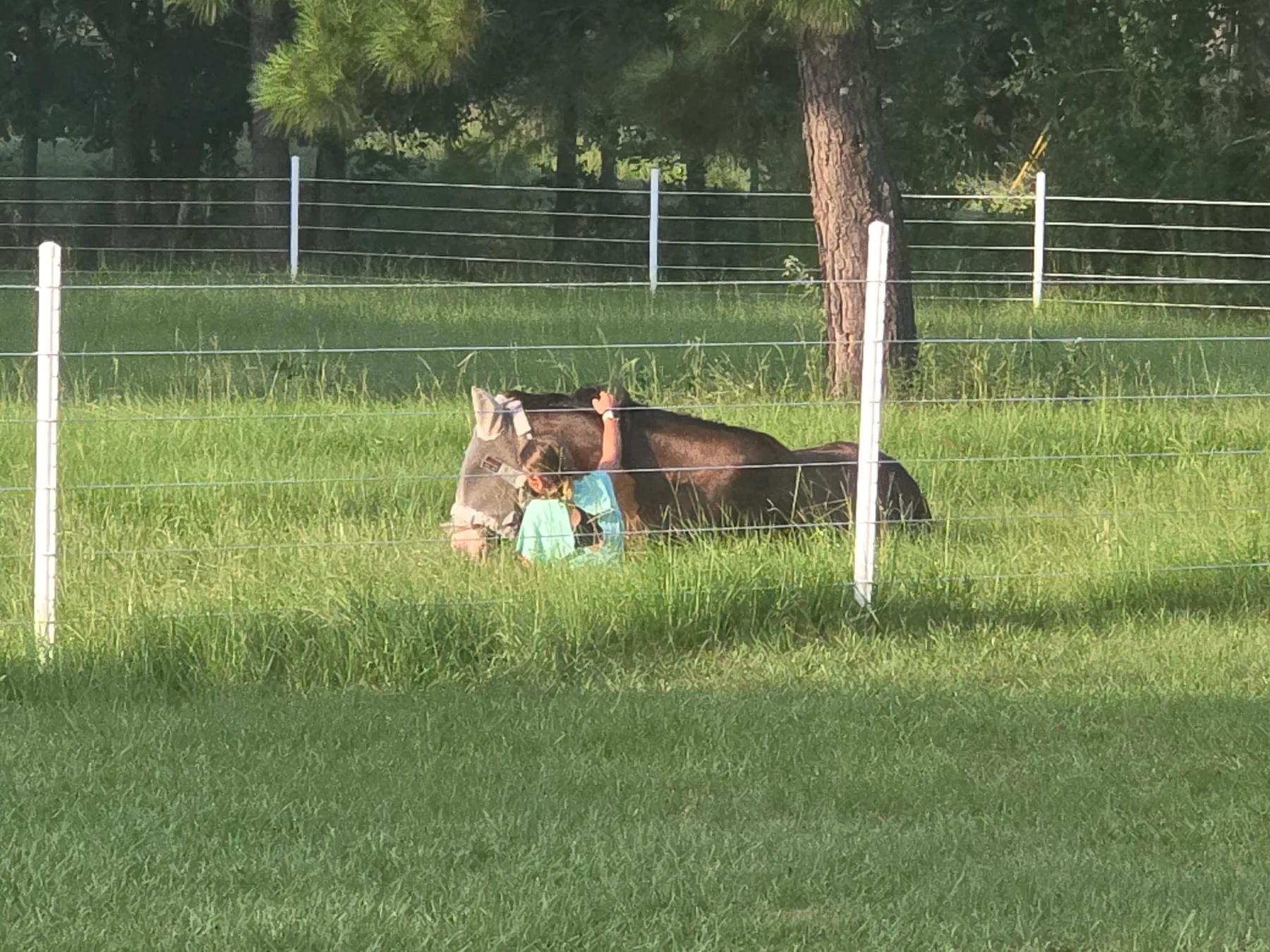 A quiet moment in the pasture